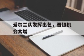 爱尔兰队发挥出色，晋级机会大增()
