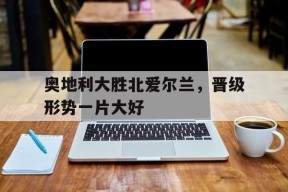 开云体育app-奥地利大胜北爱尔兰，晋级形势一片大好()
