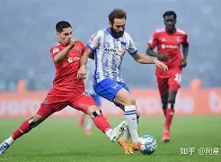 开云体育app-汉堡队新赛季取得开门红，球迷欣喜不已()  第1张