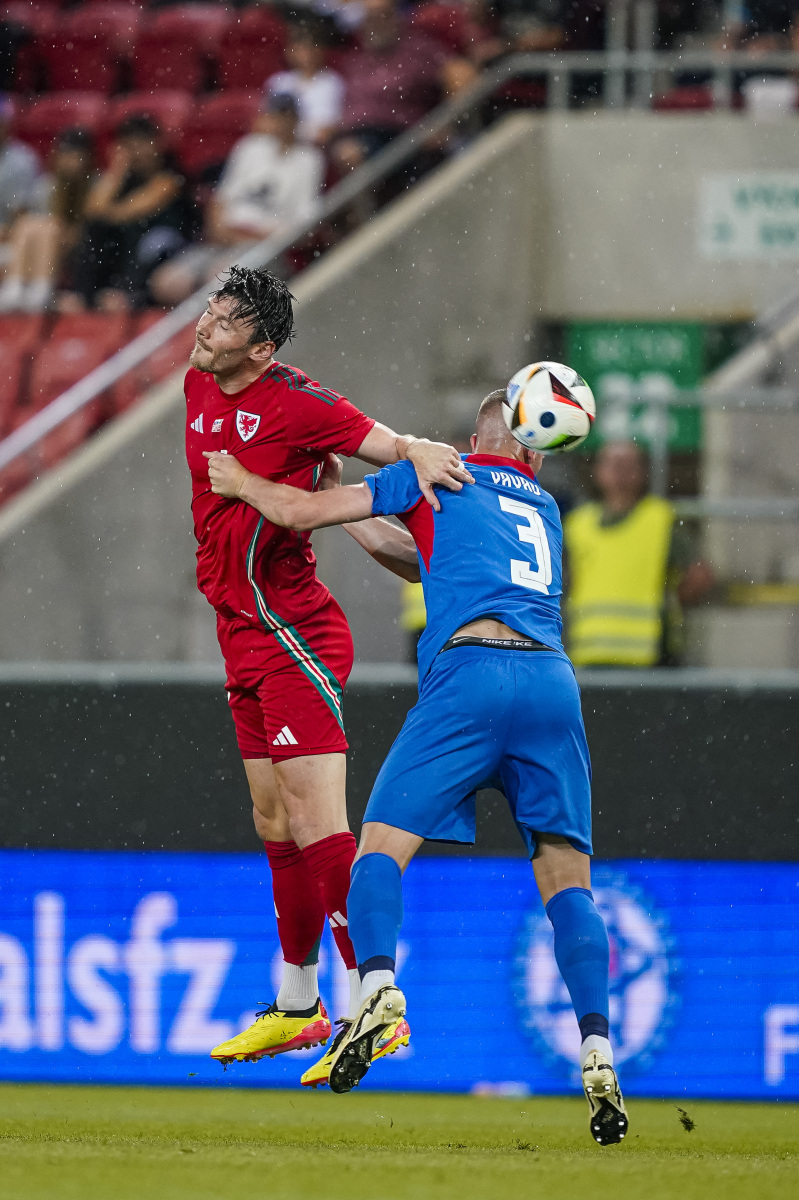 开云官方在线-斯洛伐克队在欧洲联赛中遭遇不利，需调整策略()  第2张