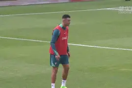 开云手机登录界面-葡萄牙队长助攻建功，C罗点射锁定胜利！()  第2张