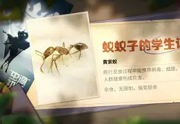 开云体育登录-凯泽斯劳滕夺冠阵容  第1张