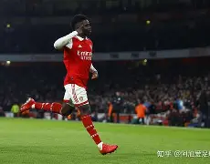 开云app-英豪争霸，埃弗顿艰难进军淘汰赛(棒球英豪在线观看)  第1张