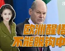 纽卡斯尔胜负宝座，降级危机严重(纽卡斯托与惠灵顿凤凰比分预测分析)  第2张